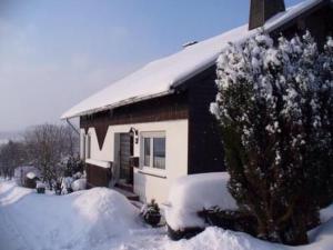 Apartment Oberm Dorp in Winterberg-Hildfeld by Interhome