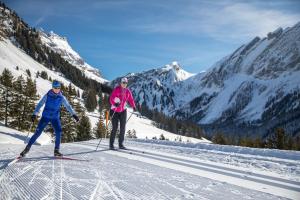 3 pièces lumineux avec vue sur les Alpes Suisses