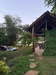 Sigiri Wild Lake Dambulla
