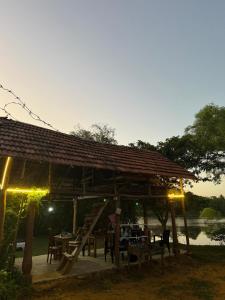 Sigiri Wild Lake Dambulla