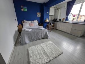 Self check-in Studio 22 Bulevardul Oltenia