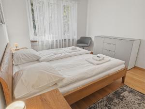 Cozy and sunny 2BR flat in the city centre - Sky10