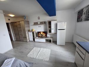 Studio 32 Bulevardul Oltenia