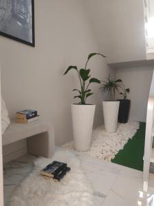 Cyclopean View Suites