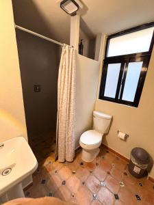 La Estancia del Rey David