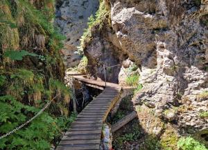 Maison NidAmour Val-de-Travers