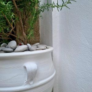 Charming Old Town House & Peaceful Patio