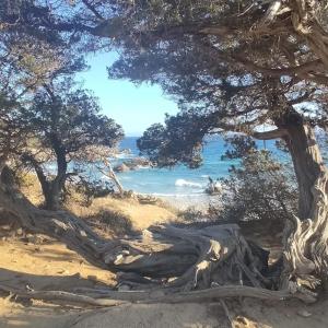 Sa Domu de Is Istellas img24