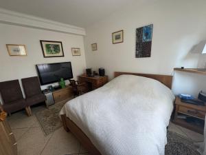 Charming 1-Bedroom Apartment in Alpes-Maritimes