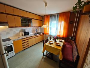 Vintage apartment Erjavec