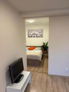 Nature Apartment Karlovy Vary Kolová