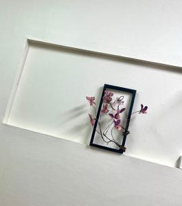 The Milla Home The Apartment is on rooftop