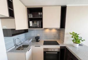 Conciertos Movistar Arena I Parque Ohiggins