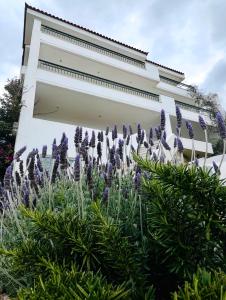 Brilliant Bay & Sea View Apartment in Saronida
