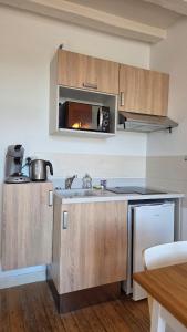 Le Petit Quai Studio 2 site historique Chinon