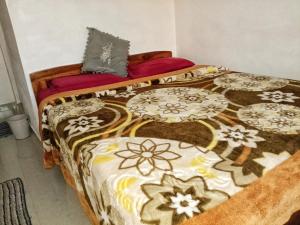 ooty dreams cottage 1