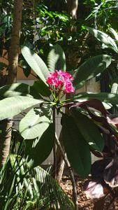 Apartamento Kitnet charmoso na Tijuca