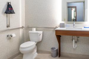 Holiday Inn Express Hotel & Suites Lake Zurich-Barrington by IHG