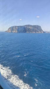 beblungomareolbia img40