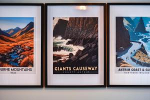 Your home from home in beautiful Belfast!