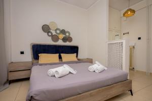 Cosy Center AXD Studio