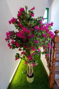 Villa Mallorca Paradise Lujo