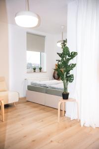 HoliDeis Studio - Sonnen-Balkon - Nr 4303