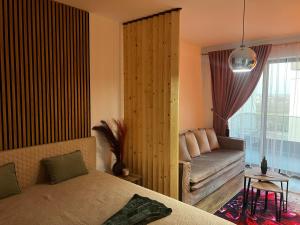 Focsani Studio Residence 3