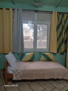Terpi Studio