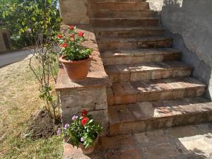 Vivere la natura in Umbria