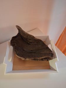 Spiaggia Serena - con giardino e box a 10 mt dal mare