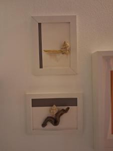 Spiaggia Serena - con giardino e box a 10 mt dal mare