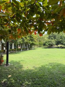 Finca Entre Palmeras