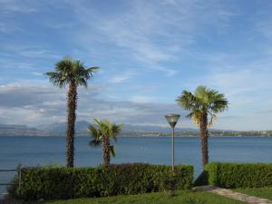 Nuovo Annuncio BLUE FRONT LAKE