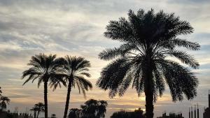 Sun Rise House Luxor