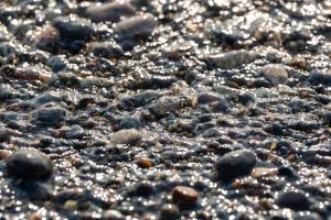 Apartment with sea view in Batumi