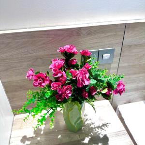 Win Home Huế