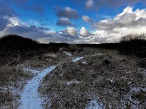 4 person holiday home in Skagen-By Traum
