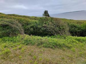 6 person holiday home in Spøttrup-By Traum