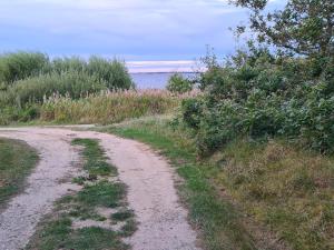 4 person holiday home in Ulfborg-By Traum