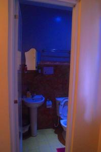 Pedz Cing Mango Lodge