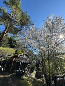 Cabin D 3min walk Lake Saiko remote work BBQ, 5min drive Kawaguchi Lake Mt Fuji view