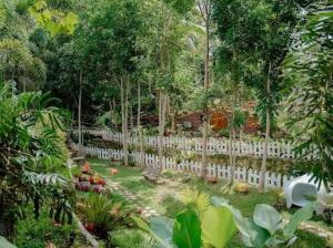 Jardin De Ysabelle