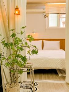 Cheongnyangni Station, Stay near Hongdae, Itaewon, Seoul Tower30분