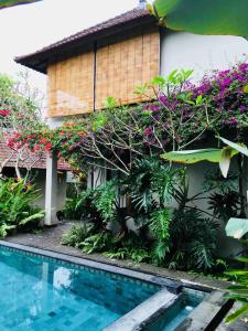 Private POOL VILLA Ubud centre in walking distance, Villa Capung Merah
