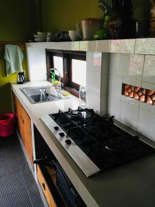 Private POOL VILLA Ubud centre in walking distance, Villa Capung Merah