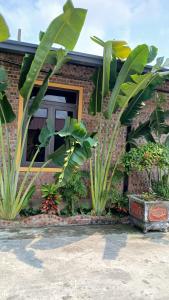 Hana Homestay