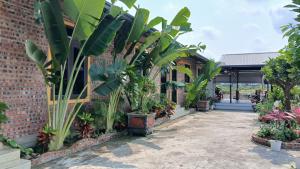 Hana Homestay