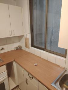 Departamento Maciver, parque forestal