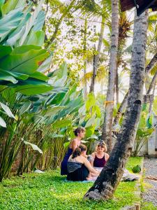 Riverrootsstays